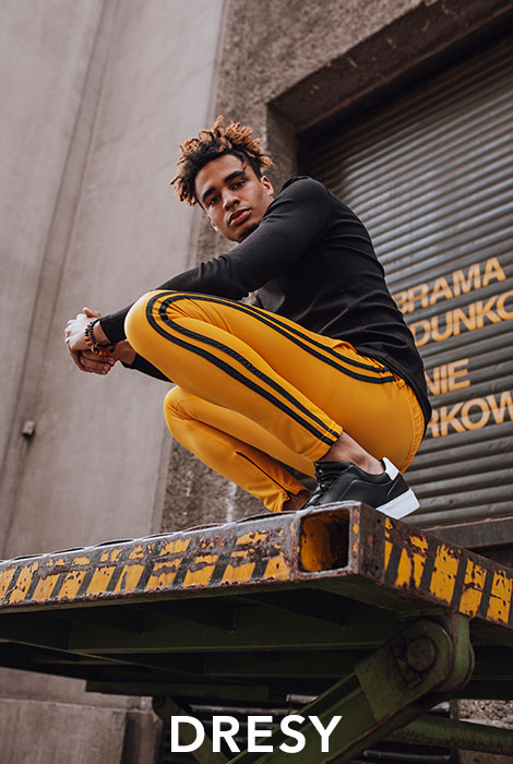 Spodnie dresowe online